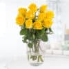 10 Gelbe Rosen (50cm)