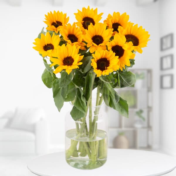 Blumenstrauß Sonnenblumen (10 Stück)