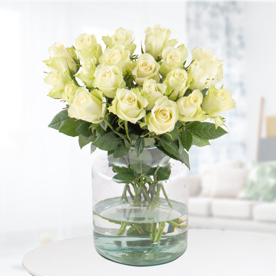 20 Weiße Rosen (40cm) bei BlumenArten.de online kaufen