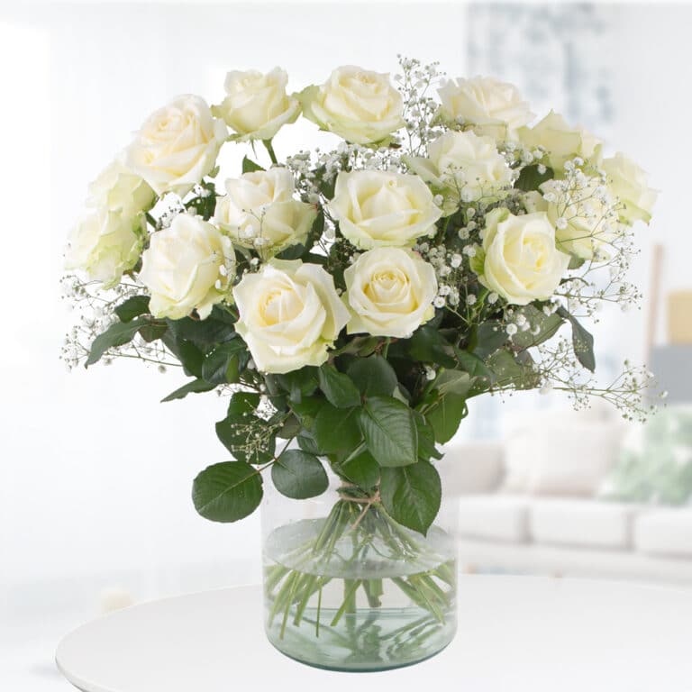 Weiße Rosen mit Schleierkraut - Premium-Rosen (60cm) bei Blumen-Arten ...