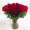 100 Rosen - Upperclass (50cm)